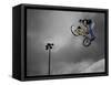 BMX Biker Performing Tricks-null-Framed Stretched Canvas