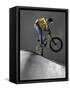 BMX Biker Performing Tricks-null-Framed Stretched Canvas