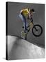 BMX Biker Performing Tricks-null-Stretched Canvas