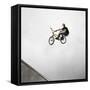 BMX Biker Performing Tricks-null-Framed Stretched Canvas