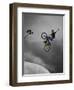 BMX Biker Performing Tricks-null-Framed Photographic Print