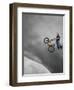 BMX Biker Performing Tricks-null-Framed Photographic Print