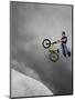 BMX Biker Performing Tricks-null-Mounted Photographic Print