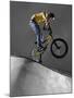 BMX Biker Performing Tricks-null-Mounted Photographic Print