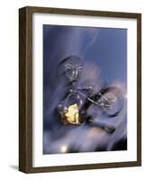 Bmx Cyclist Flying Off the Vert-null-Framed Photographic Print