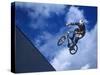 Bmx Cyclist Flys over the Vert-null-Stretched Canvas