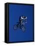 Bmx Cyclist Flys over the Vert-null-Framed Stretched Canvas