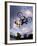 Bmx Cyclist Flys over the Vert-null-Framed Photographic Print