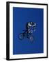 Bmx Cyclist Flys over the Vert-null-Framed Photographic Print