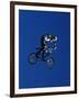 Bmx Cyclist Flys over the Vert-null-Framed Photographic Print