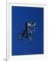 Bmx Cyclist Flys over the Vert-null-Framed Photographic Print