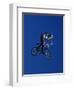 Bmx Cyclist Flys over the Vert-null-Framed Photographic Print
