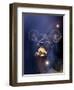 Bmx Cyclist Flys over the Vert-null-Framed Photographic Print