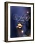 Bmx Cyclist Flys over the Vert-null-Framed Photographic Print