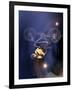 Bmx Cyclist Flys over the Vert-null-Framed Photographic Print