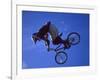 Bmx Cyclist Flys over the Vert-null-Framed Photographic Print