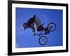 Bmx Cyclist Flys over the Vert-null-Framed Photographic Print