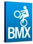 BMX Sports Poster Print-null-Stretched Canvas