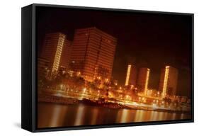 BNF-Sebastien Lory-Framed Stretched Canvas
