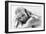 Bo Derek, 10, 1979-null-Framed Photographic Print