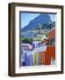 Bo-Kaap, Cape Town, South Africa-Peter Adams-Framed Photographic Print