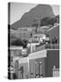 Bo-Kaap, Cape Town, South Africa-Peter Adams-Stretched Canvas