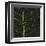 Bo Leaf I-Andrew Levine-Framed Giclee Print