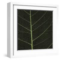 Bo Leaf I-Andrew Levine-Framed Giclee Print