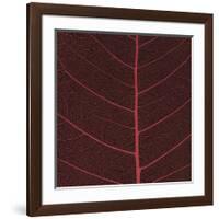 Bo Leaf II-Andrew Levine-Framed Giclee Print