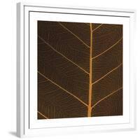 Bo Leaf III-Andrew Levine-Framed Giclee Print