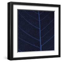 Bo Leaf IV-Andrew Levine-Framed Giclee Print