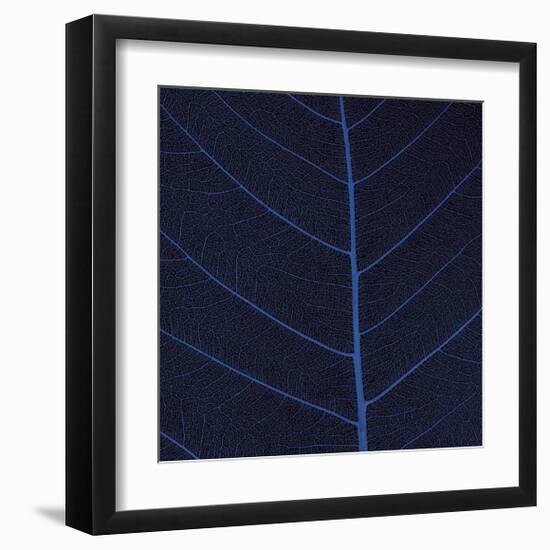 Bo Leaf IV-Andrew Levine-Framed Giclee Print