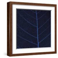 Bo Leaf IV-Andrew Levine-Framed Giclee Print