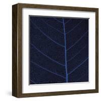 Bo Leaf IV-Andrew Levine-Framed Giclee Print