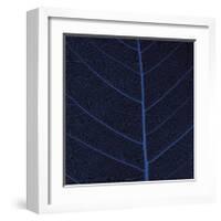 Bo Leaf IV-Andrew Levine-Framed Giclee Print