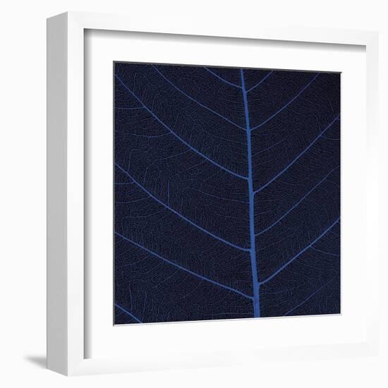 Bo Leaf IV-Andrew Levine-Framed Giclee Print