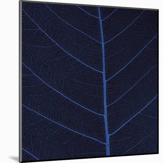 Bo Leaf IV-Andrew Levine-Mounted Giclee Print