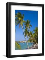 Bo Phut Beach, Koh Samui, Thailand-Jon Arnold-Framed Photographic Print