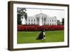 Bo, the Obama Family Dog, on the North Lawn of the White House, Sept. 28, 2012-null-Framed Premium Photographic Print