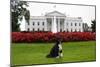 Bo, the Obama Family Dog, on the North Lawn of the White House, Sept. 28, 2012-null-Mounted Premium Photographic Print