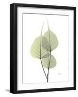 Bo Tree E111-Albert Koetsier-Framed Photographic Print