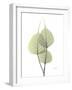 Bo Tree E111-Albert Koetsier-Framed Photographic Print