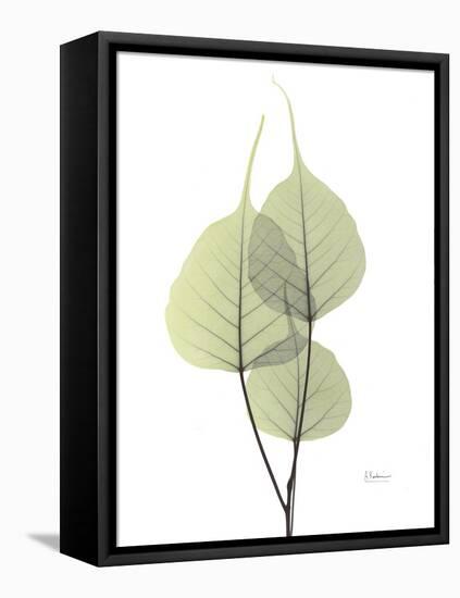 Bo Tree E111-Albert Koetsier-Framed Stretched Canvas