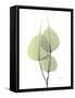 Bo Tree E111-Albert Koetsier-Framed Stretched Canvas