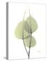 Bo Tree E111-Albert Koetsier-Stretched Canvas