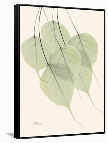 Bo Tree Moment-Albert Koetsier-Framed Stretched Canvas