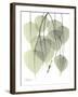 Bo Tree Nature-Albert Koetsier-Framed Premium Giclee Print