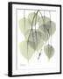 Bo Tree Nature-Albert Koetsier-Framed Premium Giclee Print