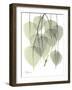 Bo Tree Nature-Albert Koetsier-Framed Art Print