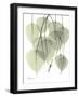 Bo Tree Nature-Albert Koetsier-Framed Art Print